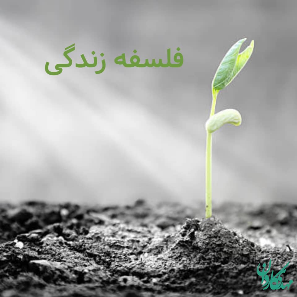 فلسفه زندگی